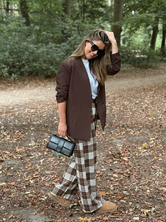 Autumn Broek Bruin