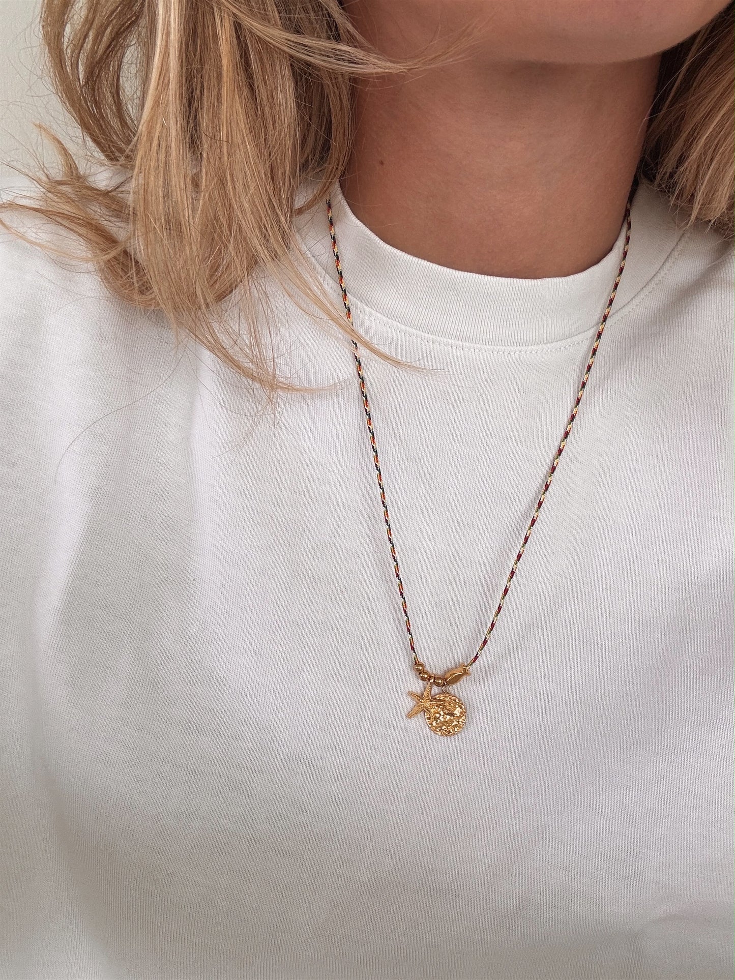 Ketting visjes