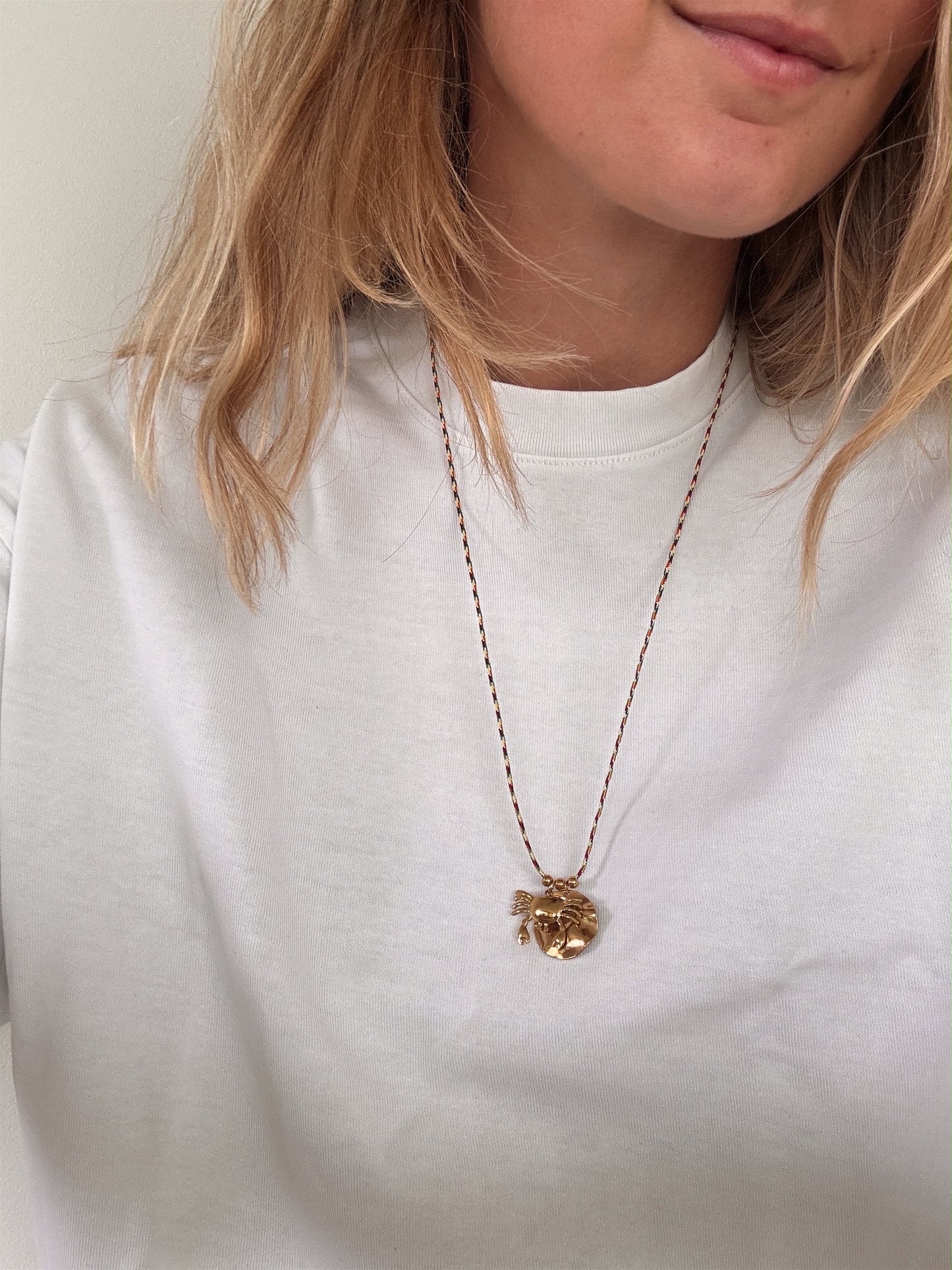Ketting visjes