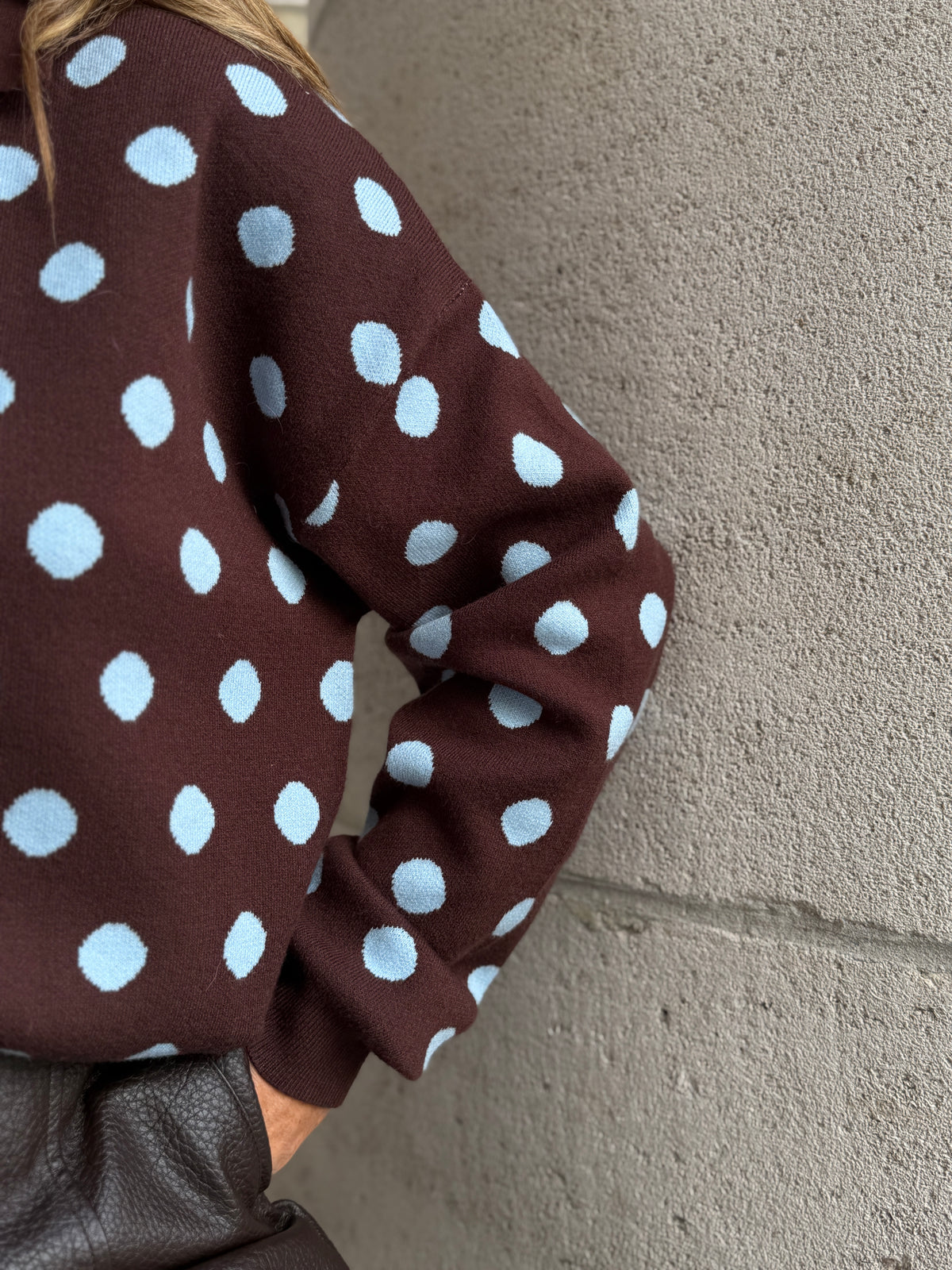 Pollock Polo Brown