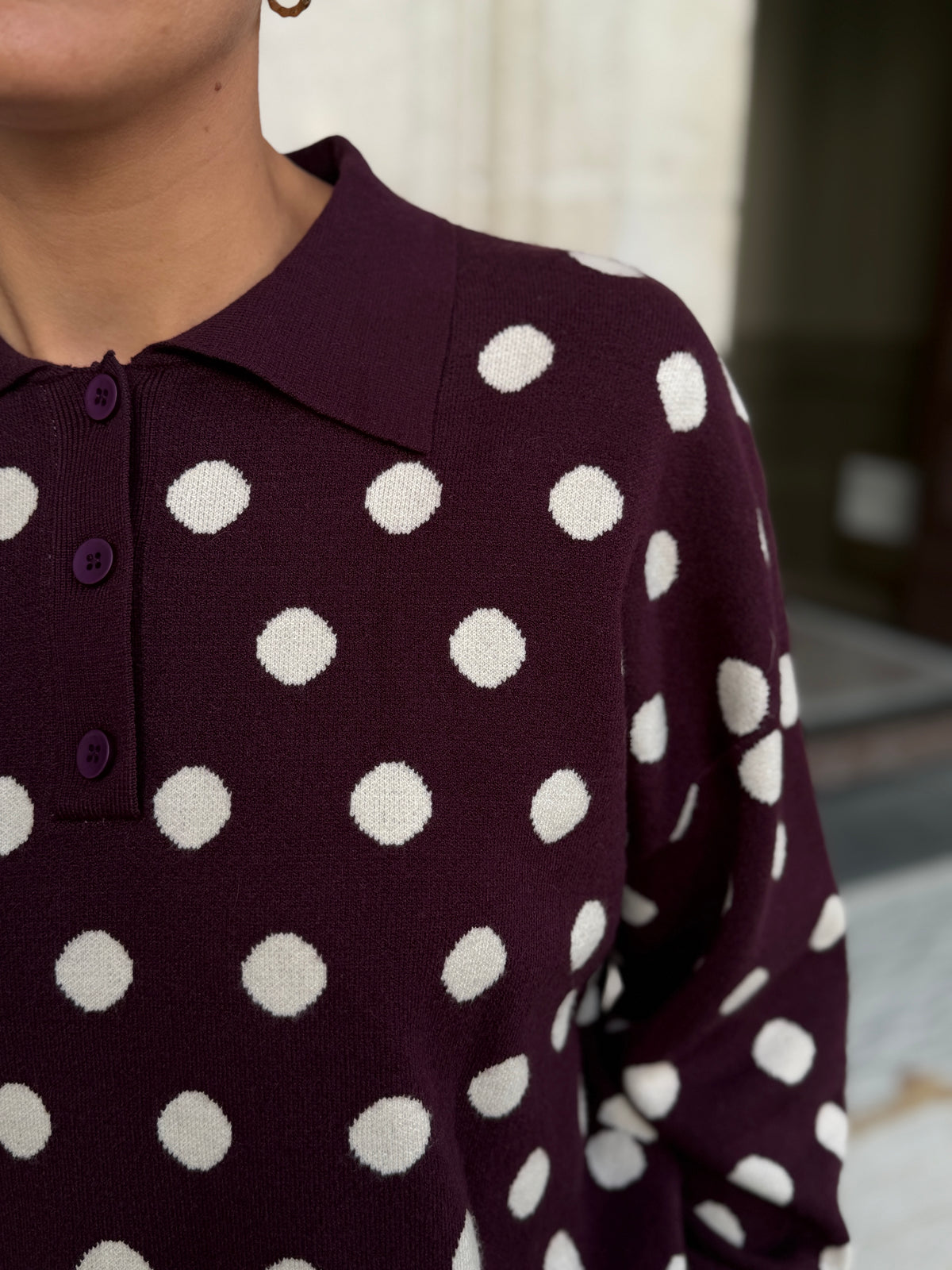 Pollock Polo Plum