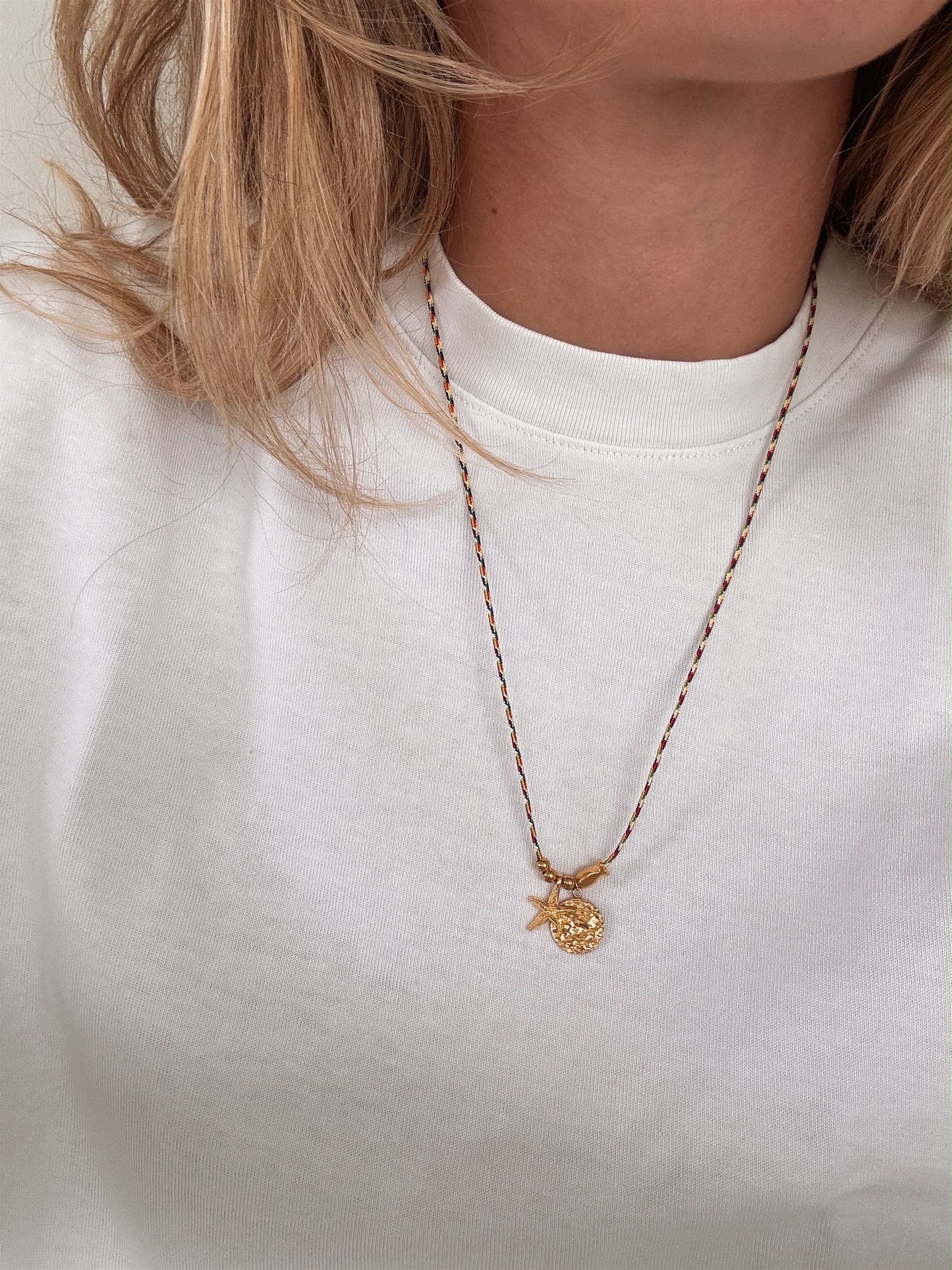 Ketting visjes