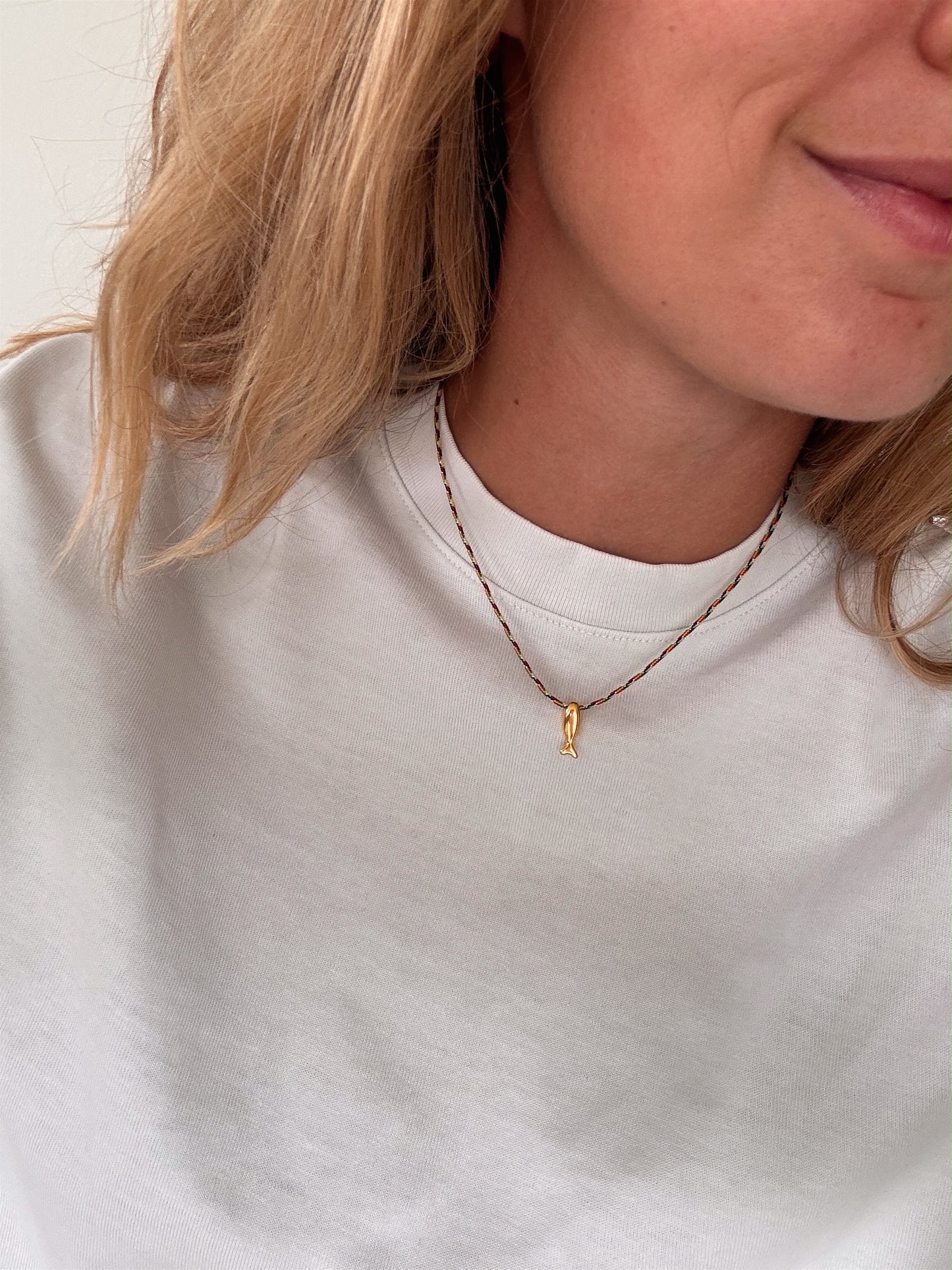 Ketting visjes